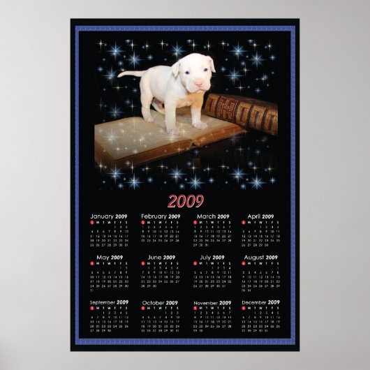 2009 Wall Poster Kalender von Luna (Vorne)