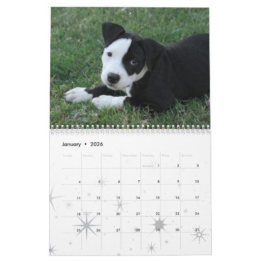 2009 Welpen-Kalender Kalender (Jan 2026)