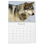 2009 Wolf-Kalender Kalender (Feb 2027)