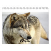 2009 Wolf-Kalender Kalender (Titelbild)