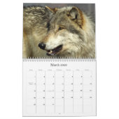 2009 Wolf-Kalender Kalender (Mär 2026)