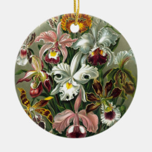20101126181226! Haeckel_Orchidae.jpg Keramik Ornament