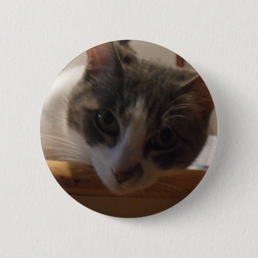 2010_04020026 BUTTON (Vorderseite)