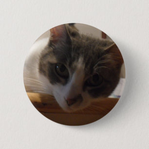 2010_04020026 BUTTON