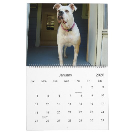 2010 Amerikaner-Bulldoggen-Kalender Kalender (Jan 2026)