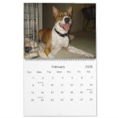 2010 Amerikaner-Bulldoggen-Kalender Kalender (Feb 2026)