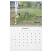 2010 BC Kalender - schlichte Art (Mär 2027)