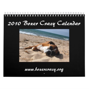 2010 BC Kalender - schlichte Art