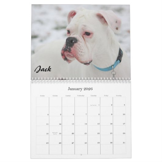 2010 BC Kalender - schlichte Art (Jan 2026)