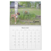 2010 BC Kalender - schlichte Art (Mär 2026)