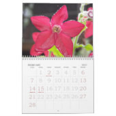 2010 Blumen Kalender (Feb 2027)