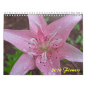 2010 Blumen Kalender (Titelbild)