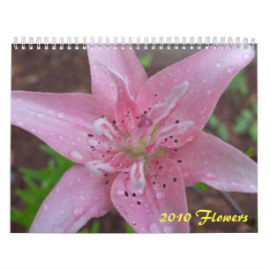 2010 Blumen Kalender