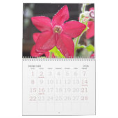 2010 Blumen Kalender (Feb 2026)