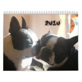 2010-Cover, 2010 Kalender (Titelbild)