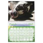 2010-Cover, 2010 Kalender (Mär 2027)