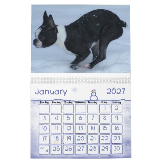 2010-Cover, 2010 Kalender (Jan 2027)