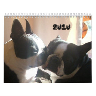 2010-Cover, 2010 Kalender