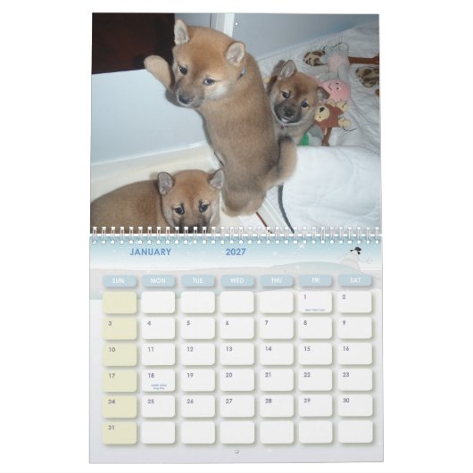 2010 das Jahr des Shiba Kalender (Jan 2027)