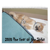2010 das Jahr des Shiba Kalender (Titelbild)