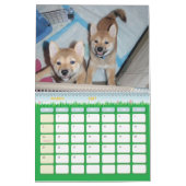 2010 das Jahr des Shiba Kalender (Mär 2027)