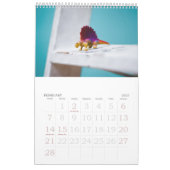 2010: Ein Jahr in Dinosauriern Kalender (Feb 2027)
