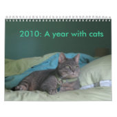 2010: Ein Jahr mit Katzen Kalender (Titelbild)