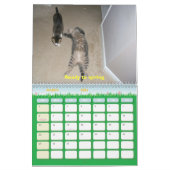 2010: Ein Jahr mit Katzen Kalender (Mär 2026)