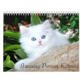 2010 gemütlicher Kätzchen-Kalender - besonders Kalender (Titelbild)