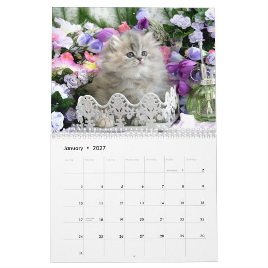 2010 gemütlicher Kätzchen-Kalender - besonders Kalender (Jan 2027)