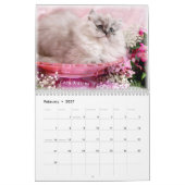 2010 gemütlicher Kätzchen-Kalender - besonders Kalender (Feb 2027)