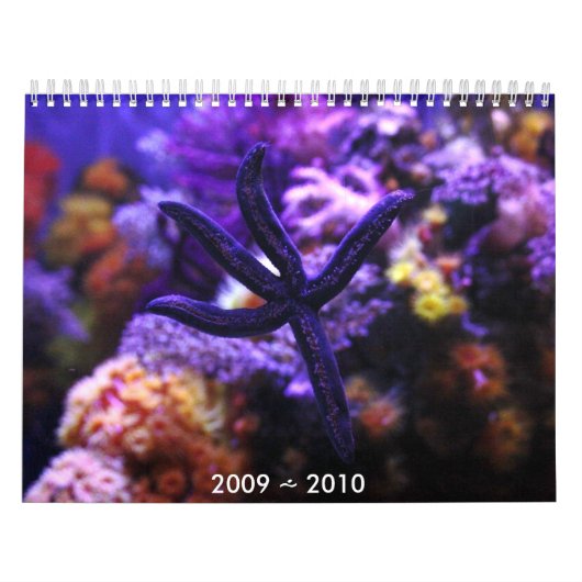 ~ 2010 Kalender 2009 (Titelbild)