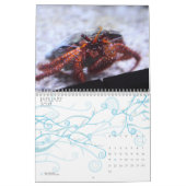 ~ 2010 Kalender 2009 (Jan 2027)