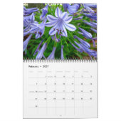 2010 Kalender - ein Weg im Park (Feb 2027)