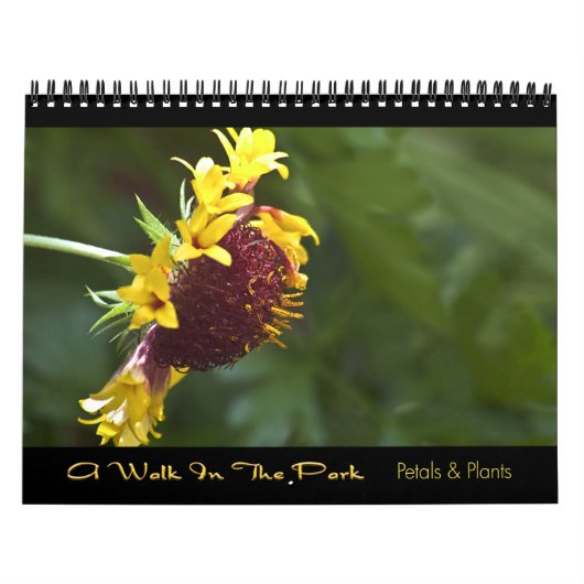 2010 Kalender - ein Weg im Park (Titelbild)