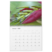 2010 Kalender - ein Weg im Park (Jan 2027)