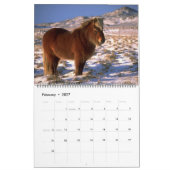 2010 Kalender-isländisches Pferdethema Kalender (Feb 2027)
