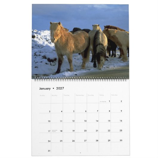 2010 Kalender-isländisches Pferdethema Kalender (Jan 2027)