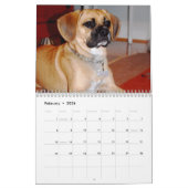 2010 Kalender, Puggles Kalender (Feb 2026)