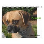 2010 Kalender, Puggles Kalender (Titelbild)