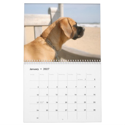 2010 Kalender, Puggles Kalender (Jan 2027)
