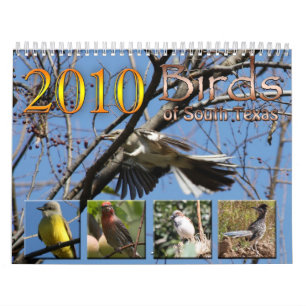2010 Kalender-Vögel Südtexas Kalender