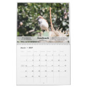 2010 Kalender-Vögel Südtexas Kalender (Mär 2027)