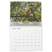 2010 Kalender-Vögel Südtexas Kalender (Jan 2027)