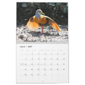 2010 Kalender, Vögel von Brasilien Kalender (Mär 2027)