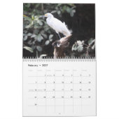 2010 Kalender, Vögel von Brasilien Kalender (Feb 2027)