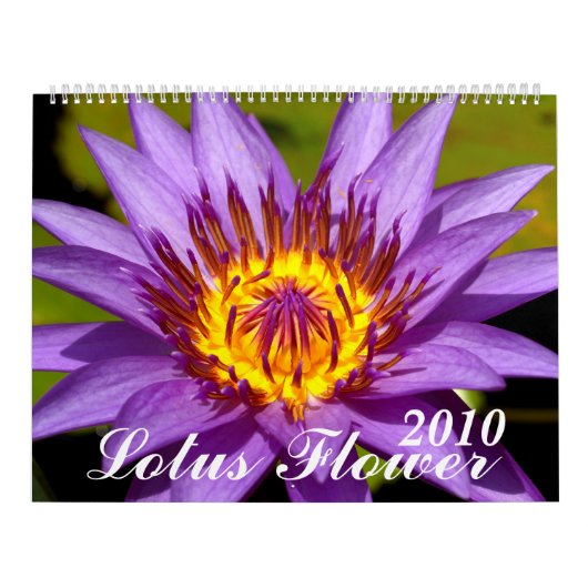 2010, Lotos-Blume Kalender (Titelbild)