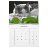 2010 mit Guru-Bauch Kalender (Feb 2027)