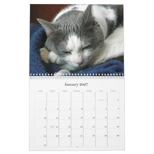 2010 mit Guru-Bauch Kalender (Jan 2027)