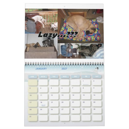 2010 PDX Danes Calendar Kalender (Jan 2027)